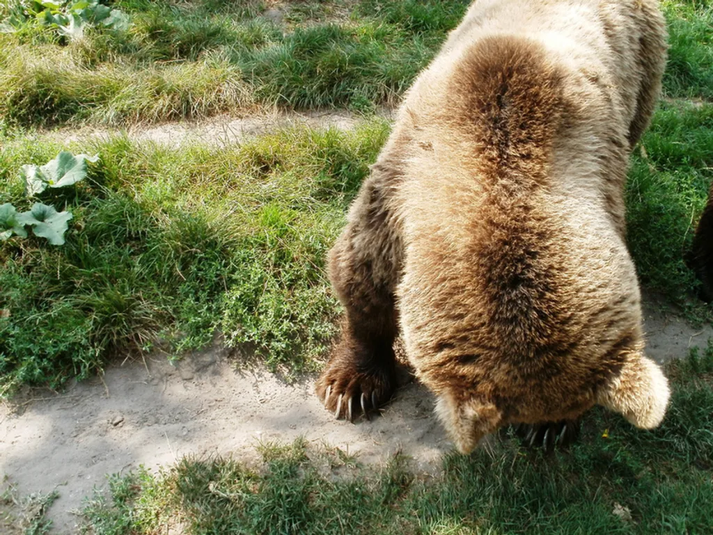 Fotó: mimi / Travelo 
