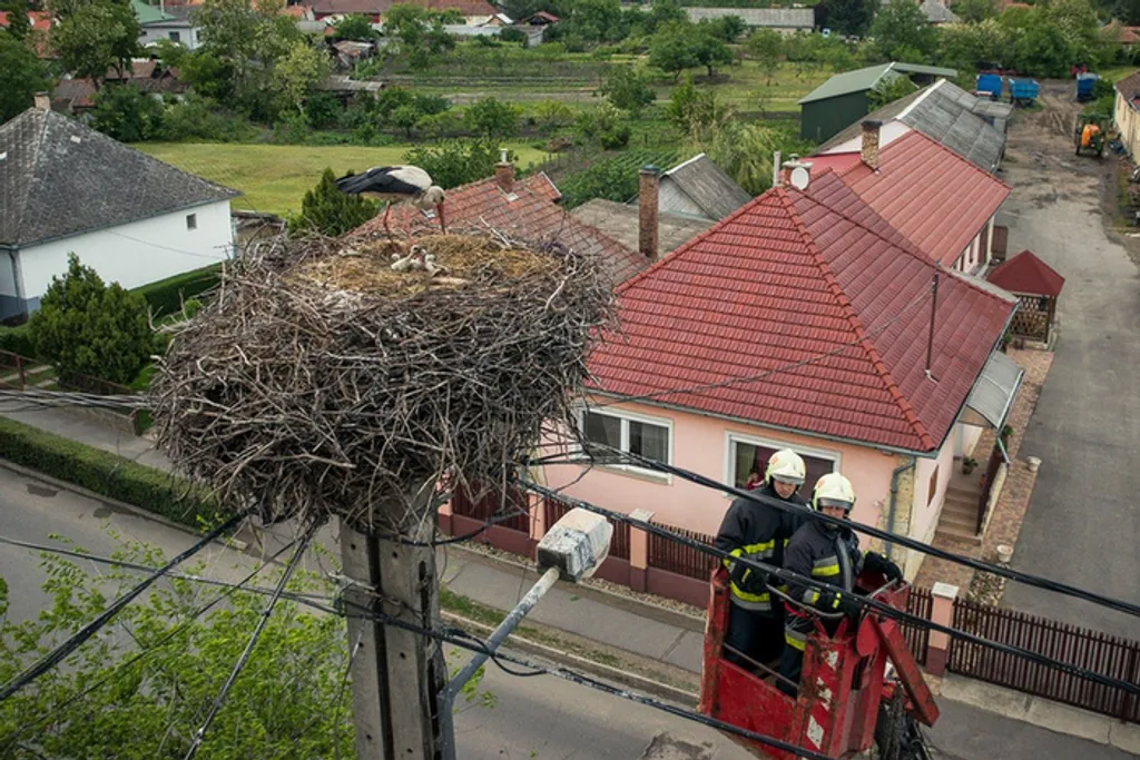Fotó: Görögh Zoltán 