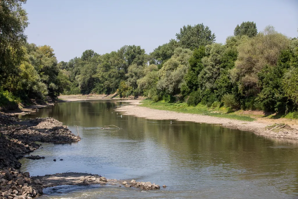 Forrás: MTI/Rosta Tibor