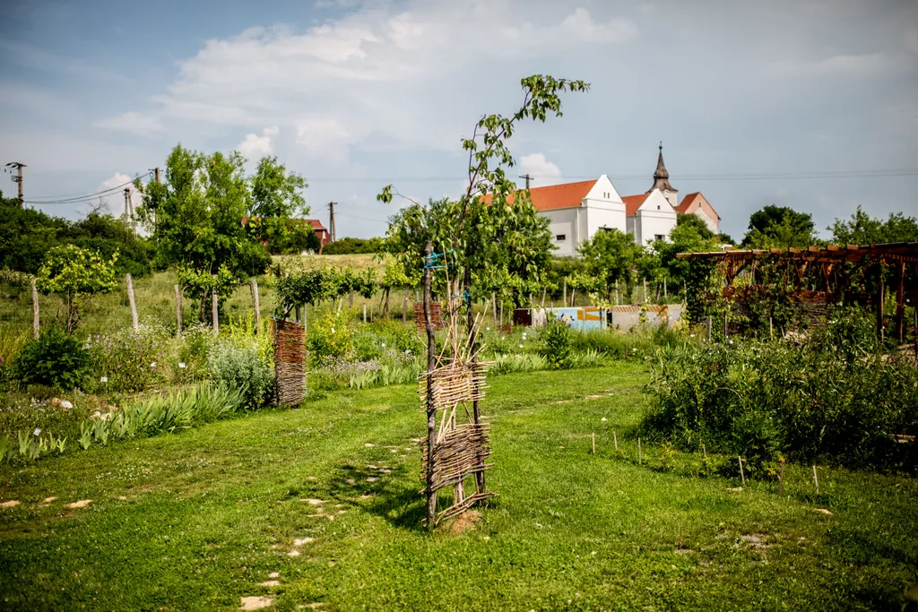 Forrás: Csudai Sándor / Travelo 
