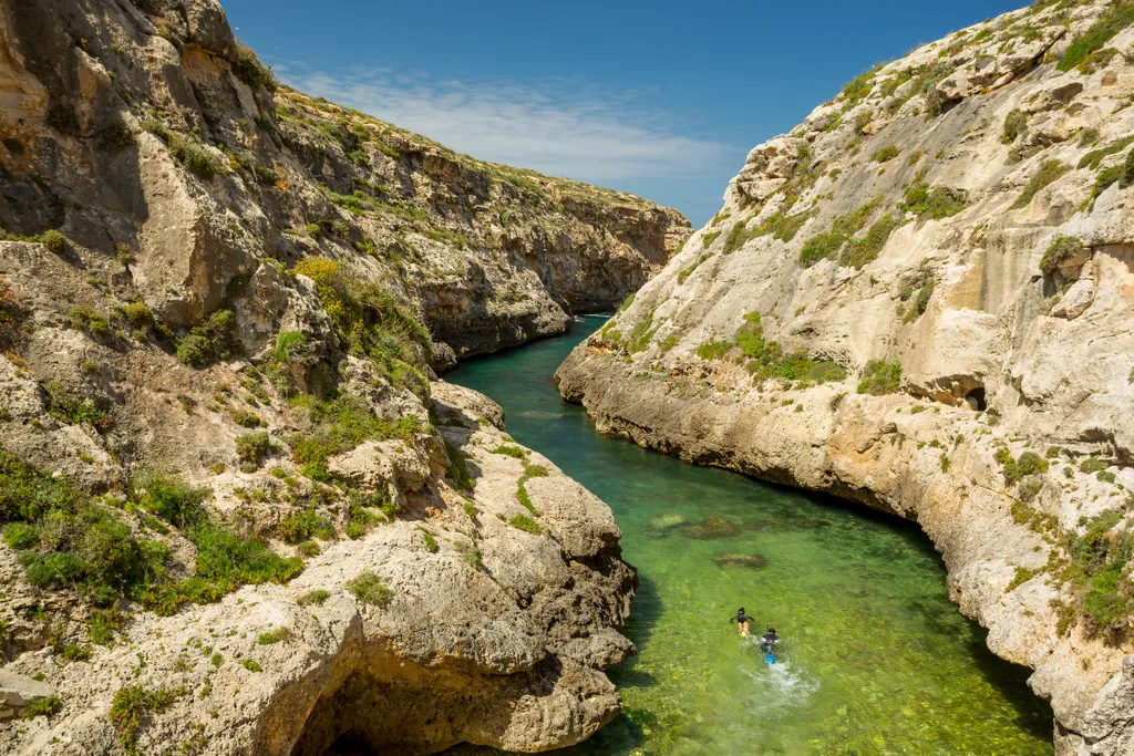 Forrás: Shutterstock 