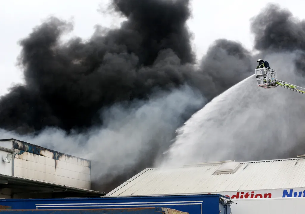 Forrás: dpa Picture-Alliance via AFP/Roland Weihrauch