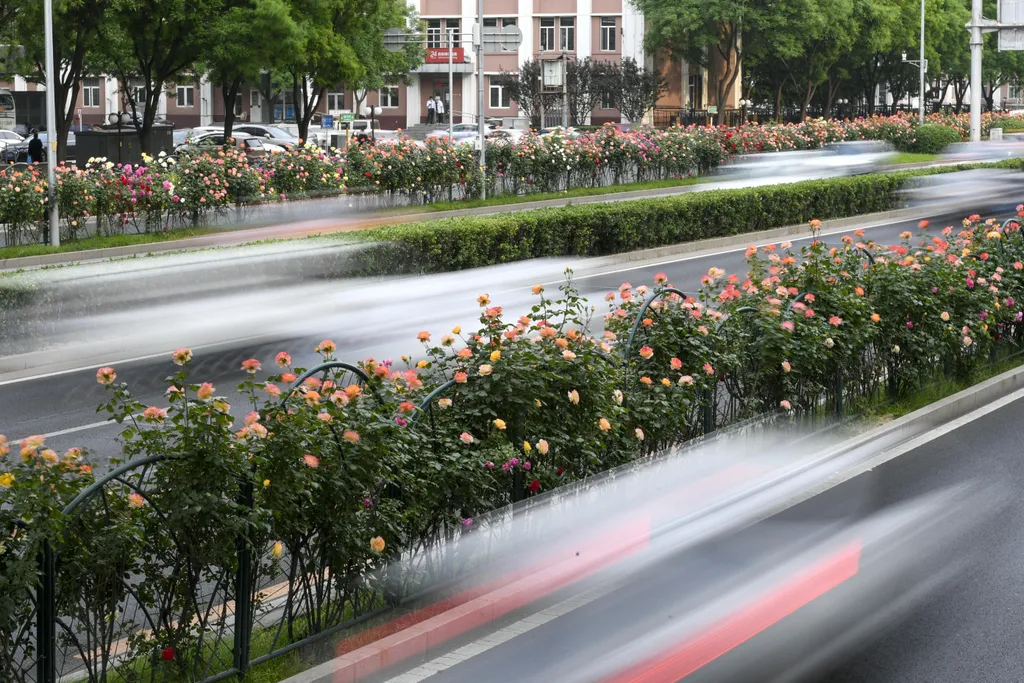 Forrás: Imaginechina via AFP/Zhao Wenyu