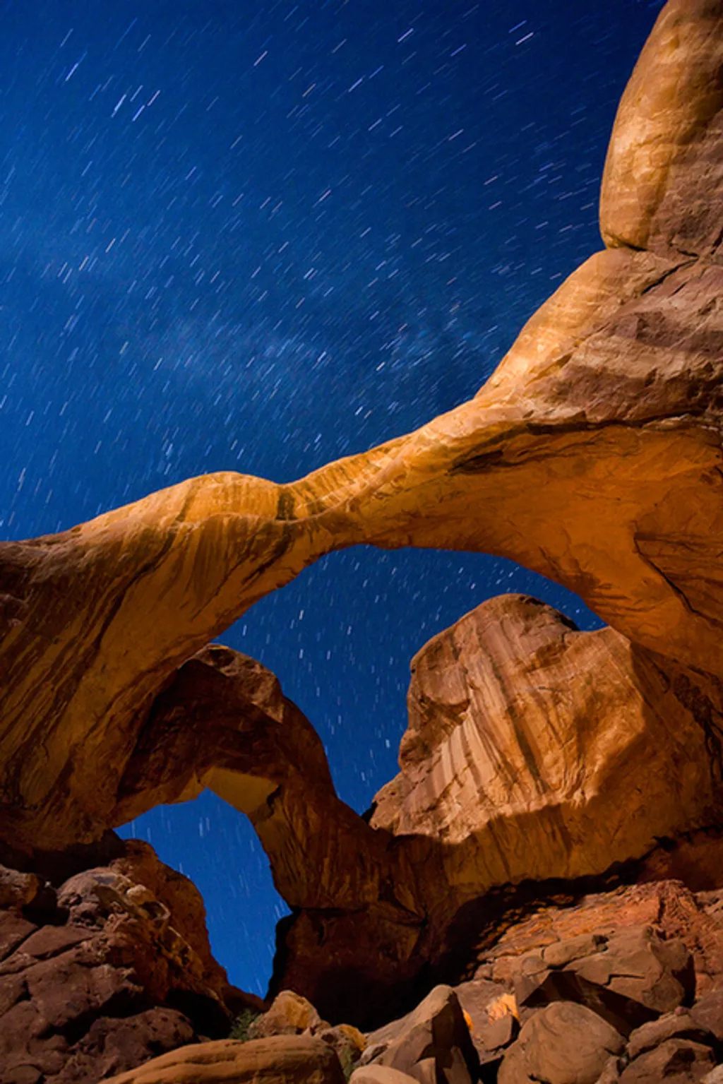 Fotó: Marc Muench / Barcroft Media / Northfoto 