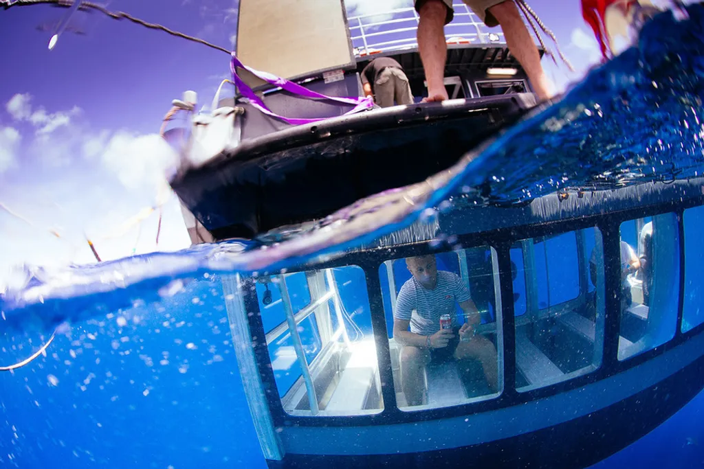 Fotó: Robert Lang / Adventure Bay Charters 