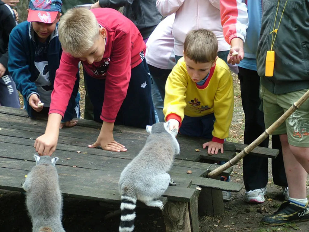 Fotó: ZOO GYŐR 