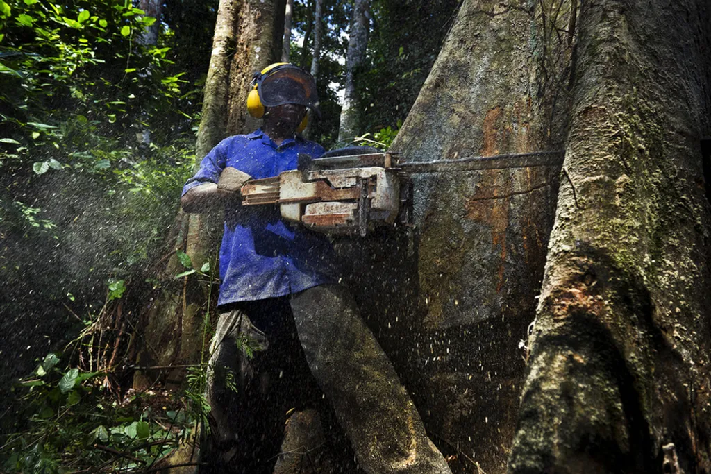 Fotó: Brent Stirton / Europress / Getty 