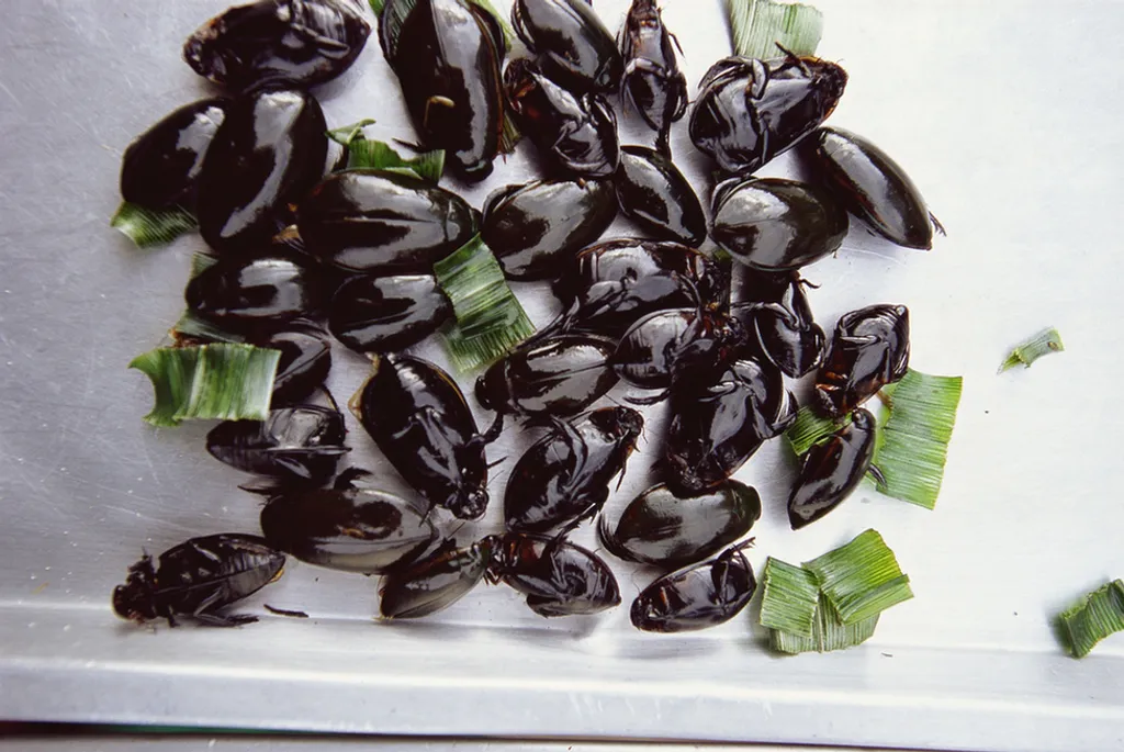 Fotó: Eric-Paul-Pierre Pasquier / Europress / Getty 