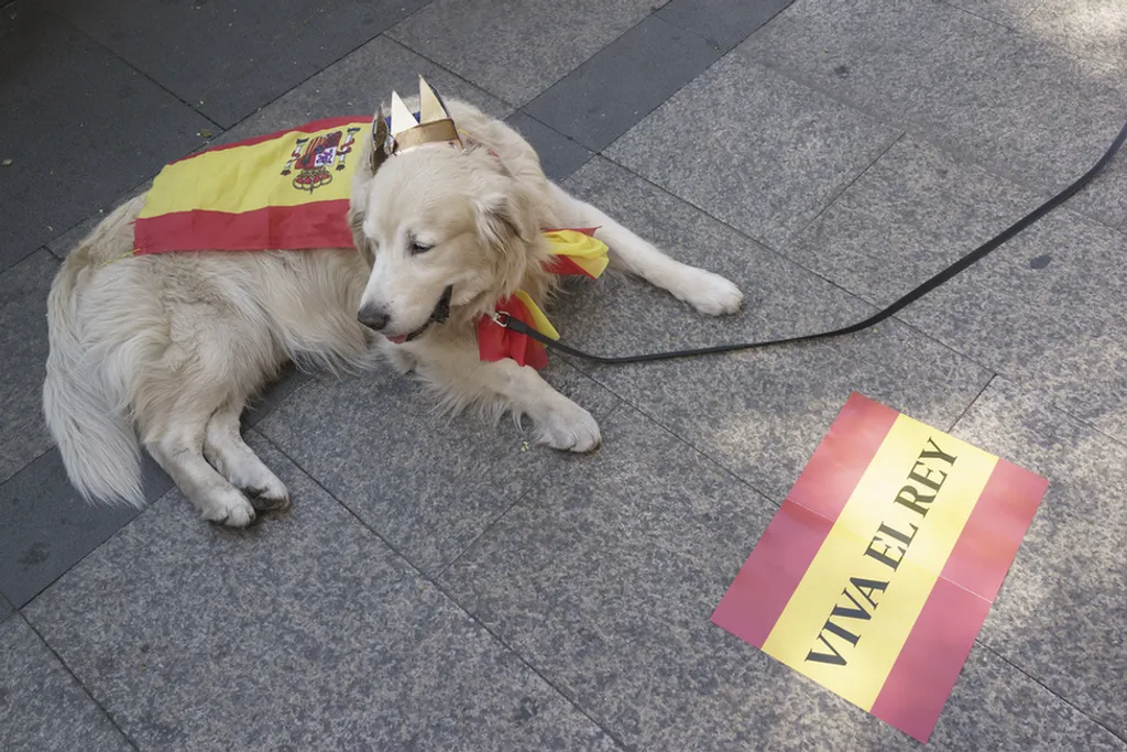 Fotó: Getty Images / Europress / Getty 