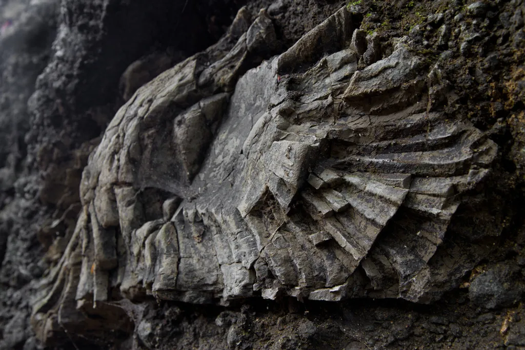 Fotó: Drexler Szilard / Geopark 