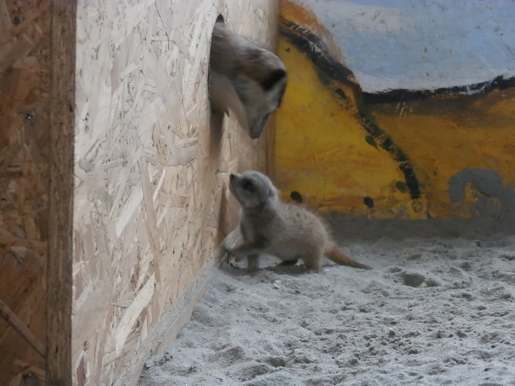 Fotó: Zobori KalandoZoo 