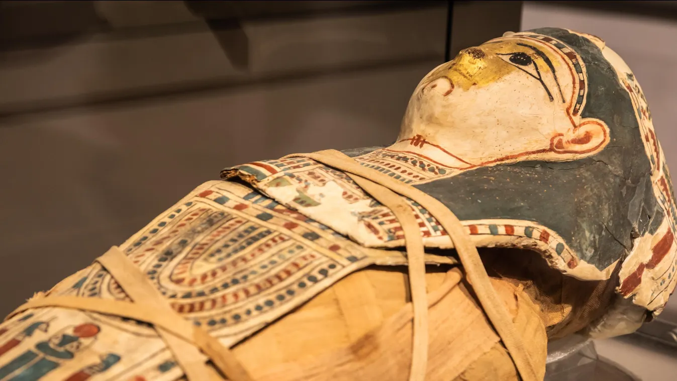 Az agyi ütőerektől a koponyavarrásig – Nem hiszed el, miket tudtak az ókori egyiptomi orvosok!