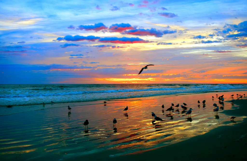 Fotó: Taran Rampersad / flickr 
