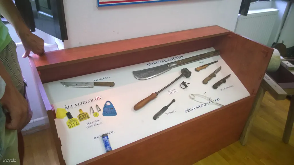 Fotó: mirkofiam 