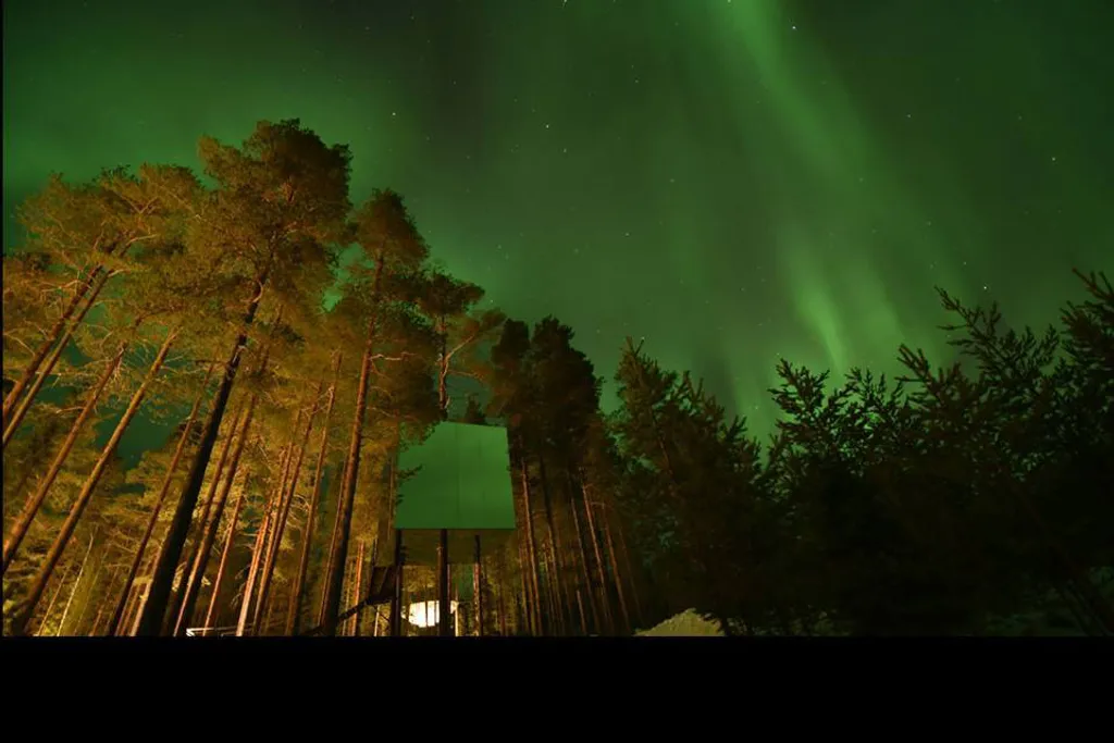 Fotó: Treehouse 