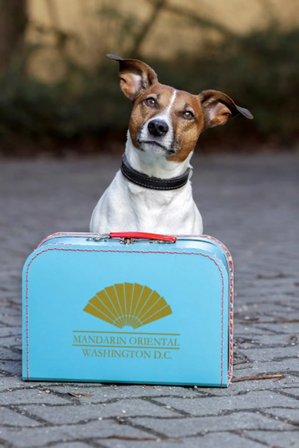 Fotó: Mandarin Oriental / Facebook 