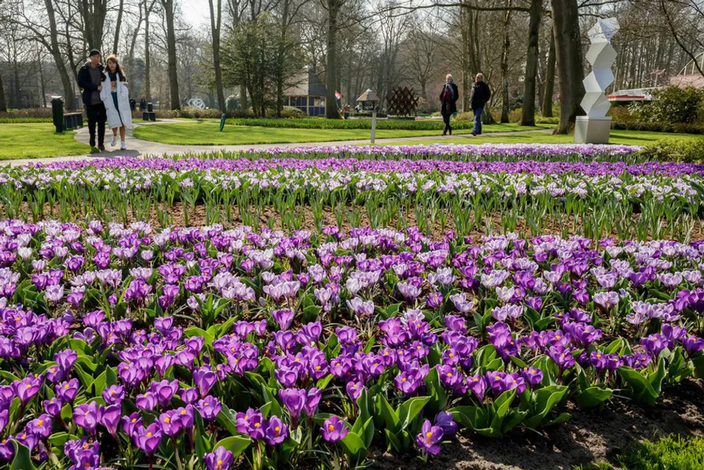 Fotó: Visit Keukenhof / Facebook 