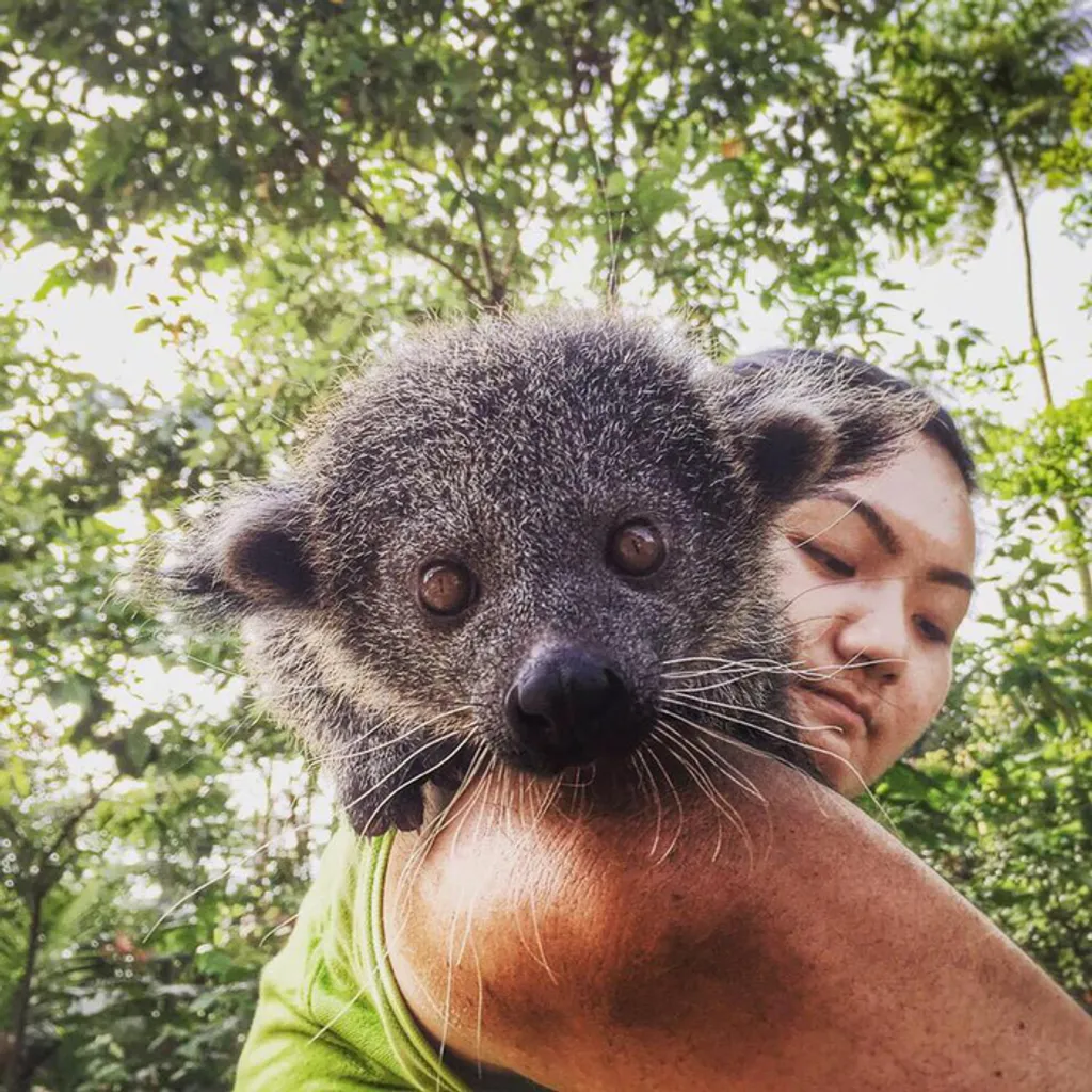 Fotó: Wildlife Reserves Singapore 