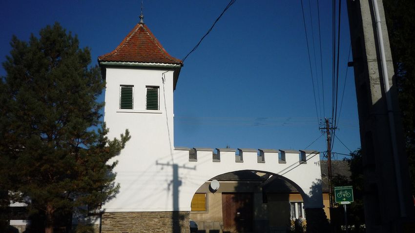 velemi gesztenye