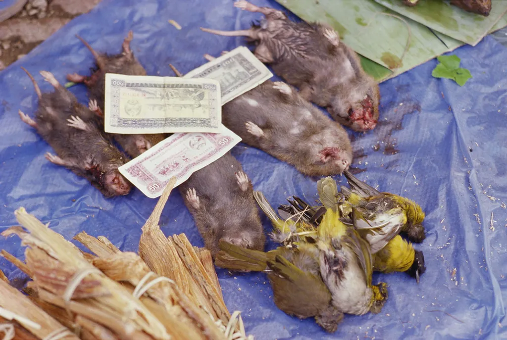 Fotó: Eric-Paul-Pierre Pasquier / Europress / Getty 