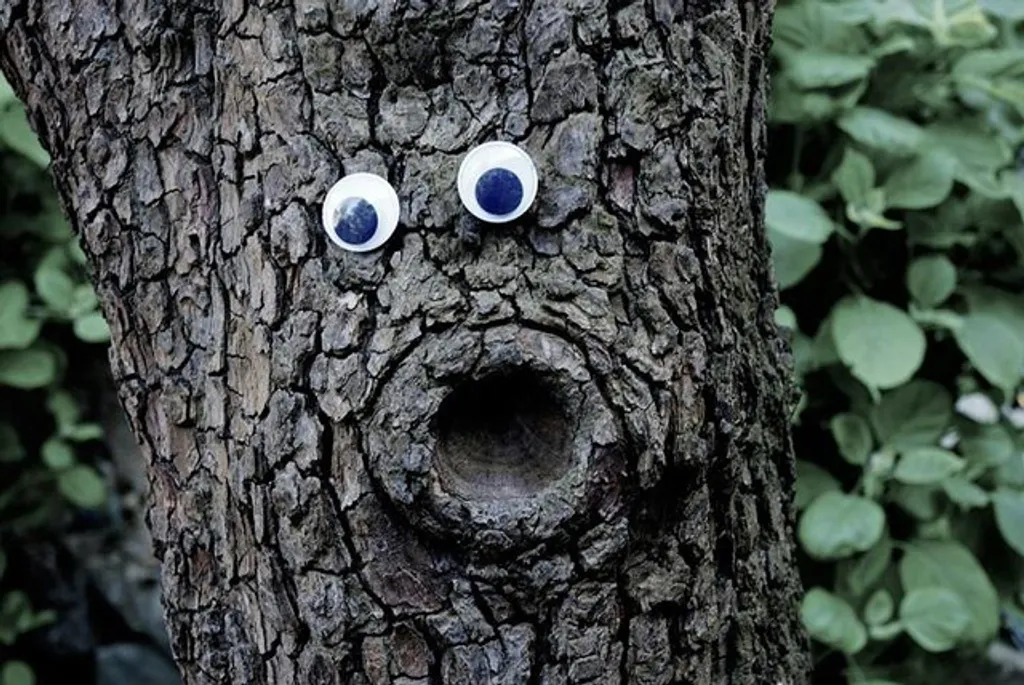Fotó: Eyebombing.bg 