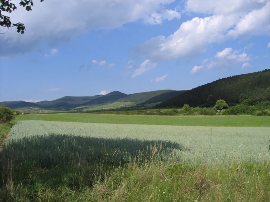Fotó: Moziizom, Indafoto / Travelo 