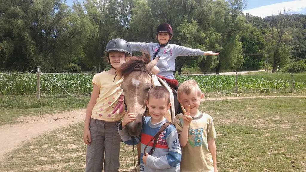Fotó: Táborok az Amandina Lovasudvarban / Facebook 