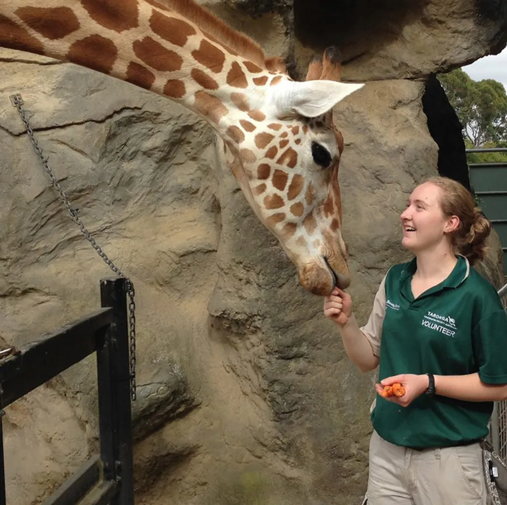 Fotó: Taronga Zoo 