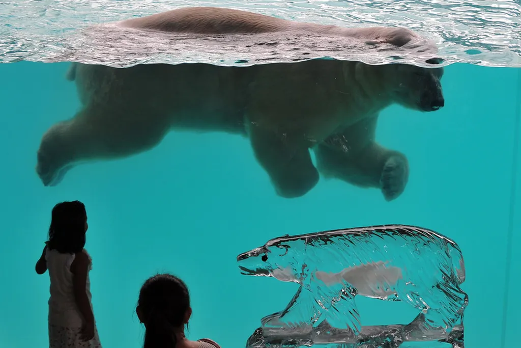 Fotó: Xinhua / eyevine / Northfoto 