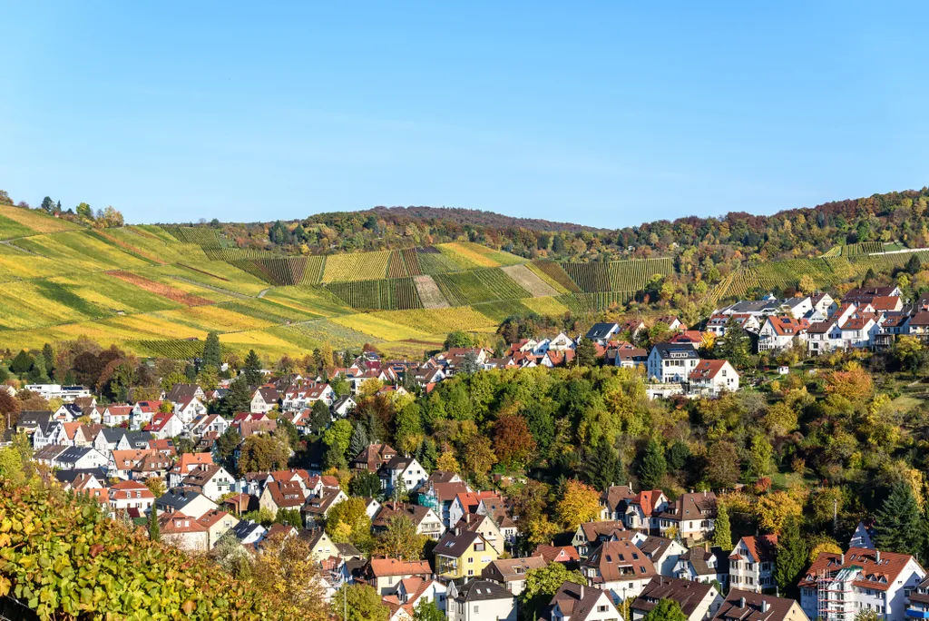 Forrás: Shutterstock 