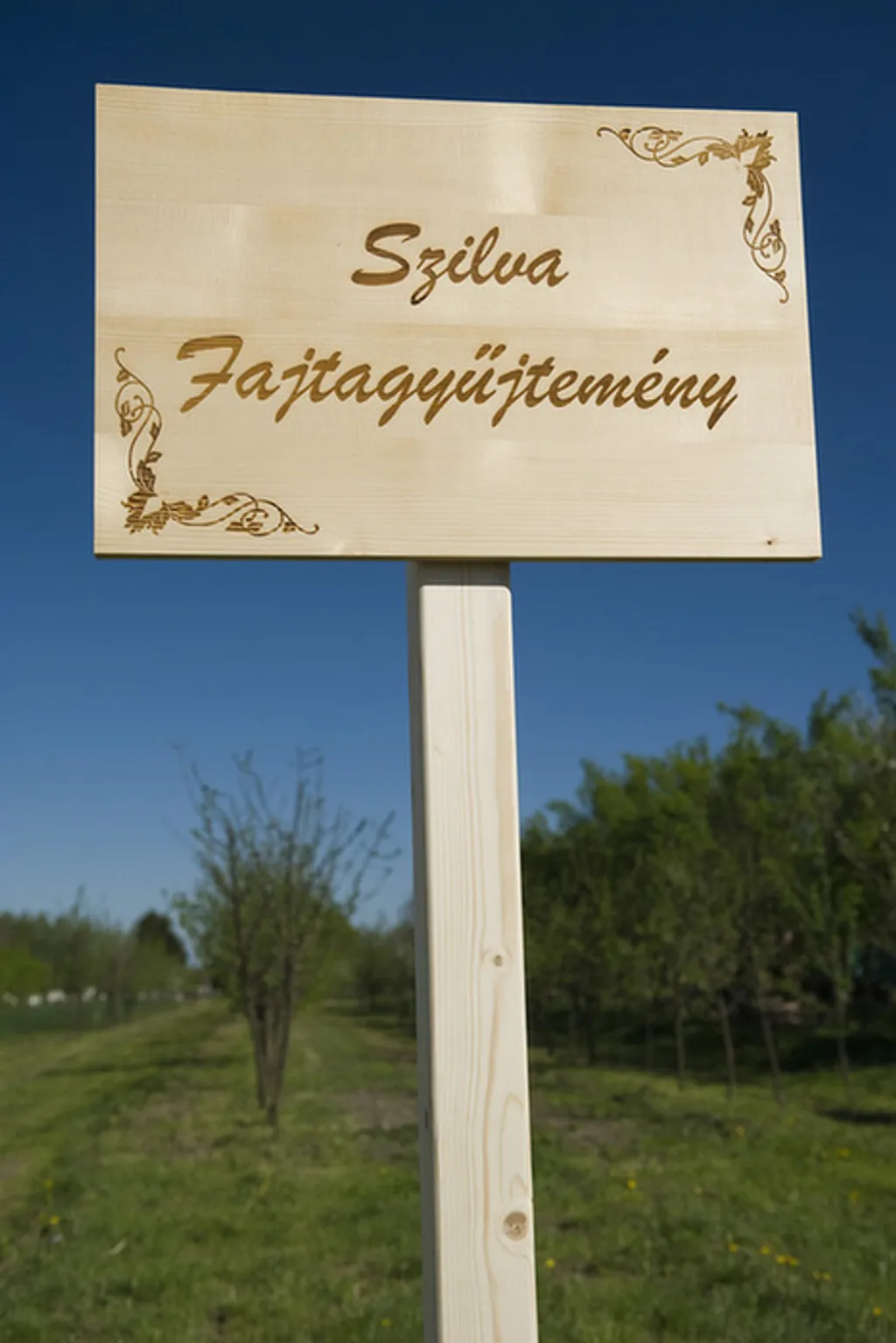 Fotó: Balázs Attila / MTI 