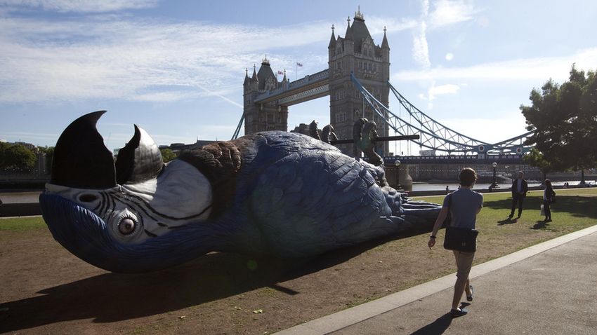 Óriás papagáj Londonban
