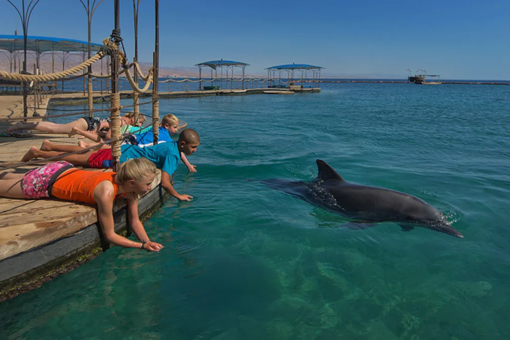 Fotó: israeltourism / flickr 