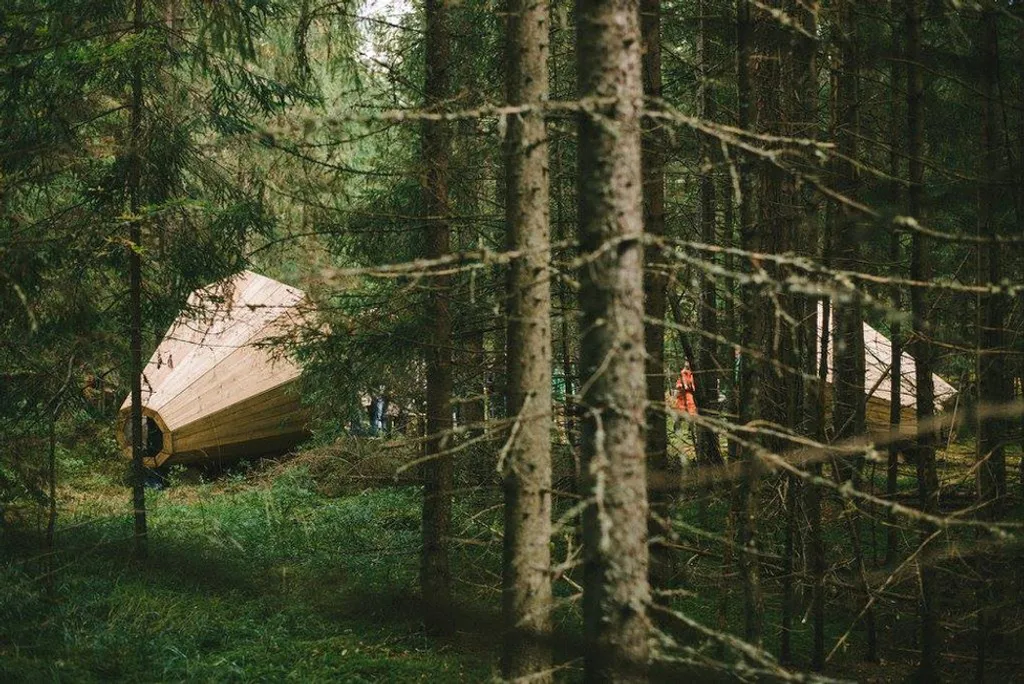 Fotó: Henno Luts / RMK 