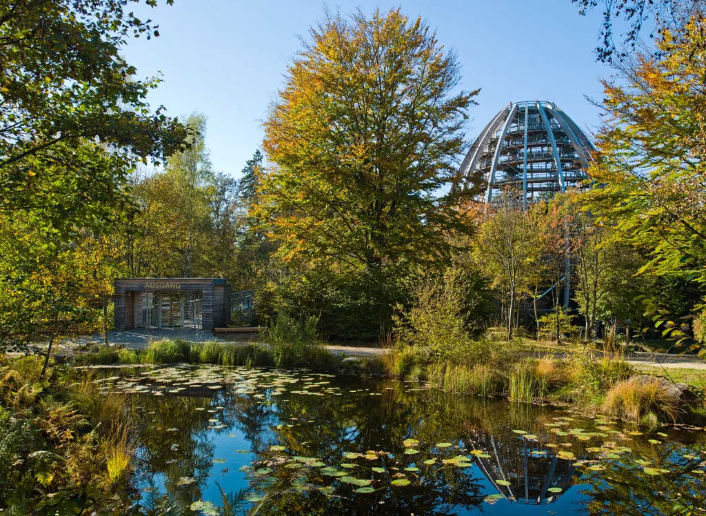 Forrás: Baumwipfelpfad.bayern 