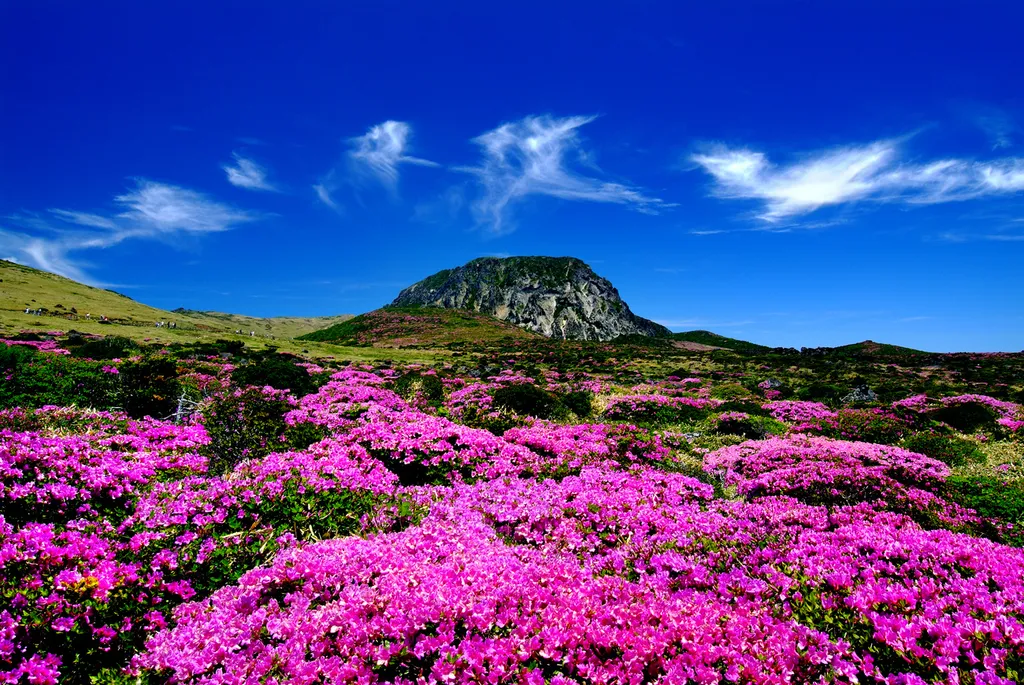 Fotó: Korea.net / flickr 