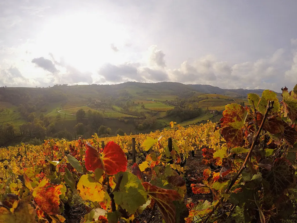 Fotó: Goproo3 / flickr 