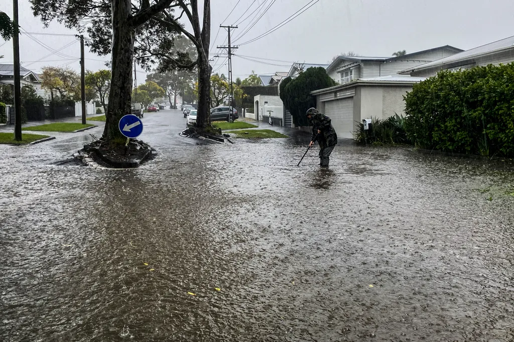 Forrás: MTI/AP/NZ Herald/Alex Robertson