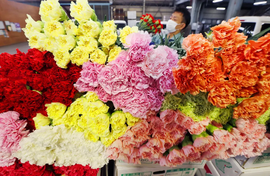 Forrás: The Yomiuri Shimbun via AFP/Yomiuri/Ken Satomi