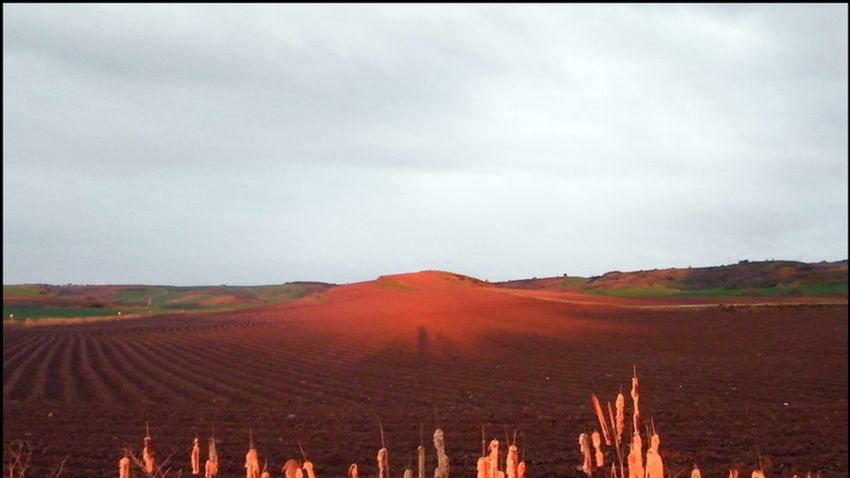 Camino1