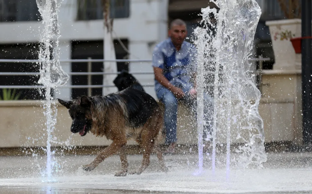 Forrás: NurPhoto via AFP/APP/NurPhoto/App