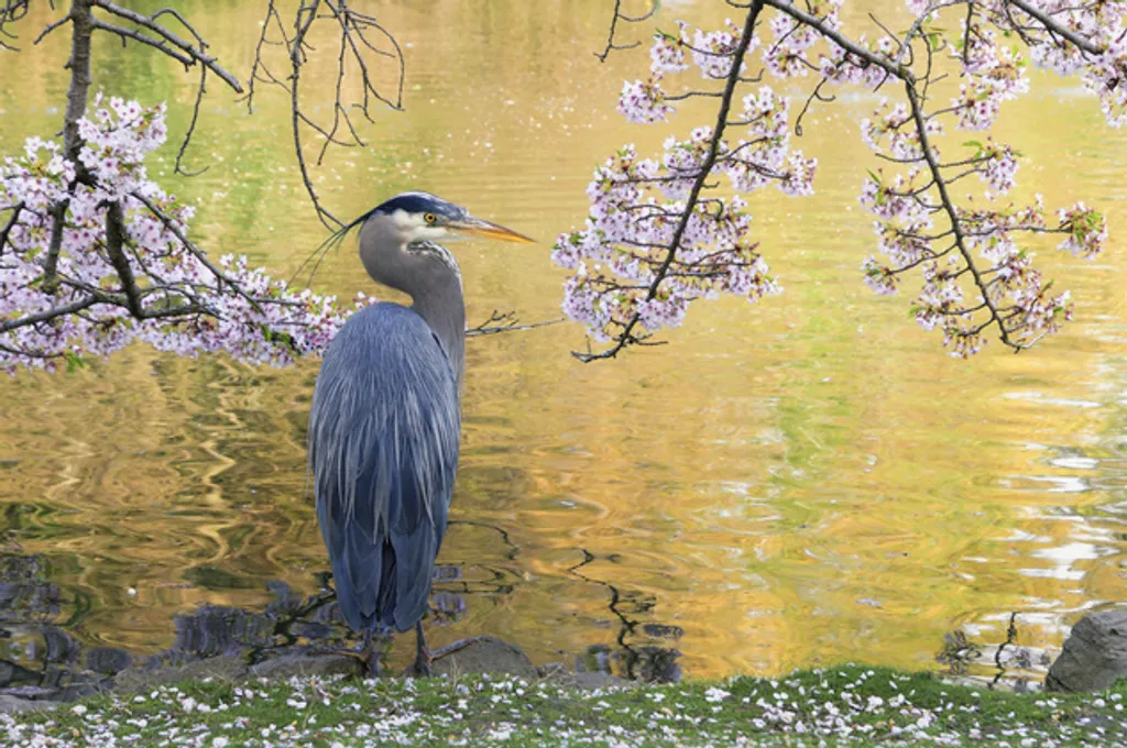 Michael Wheatley / IGPOTY 