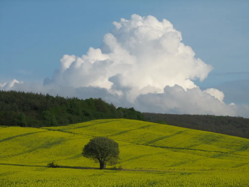 Forrás: Travelo 