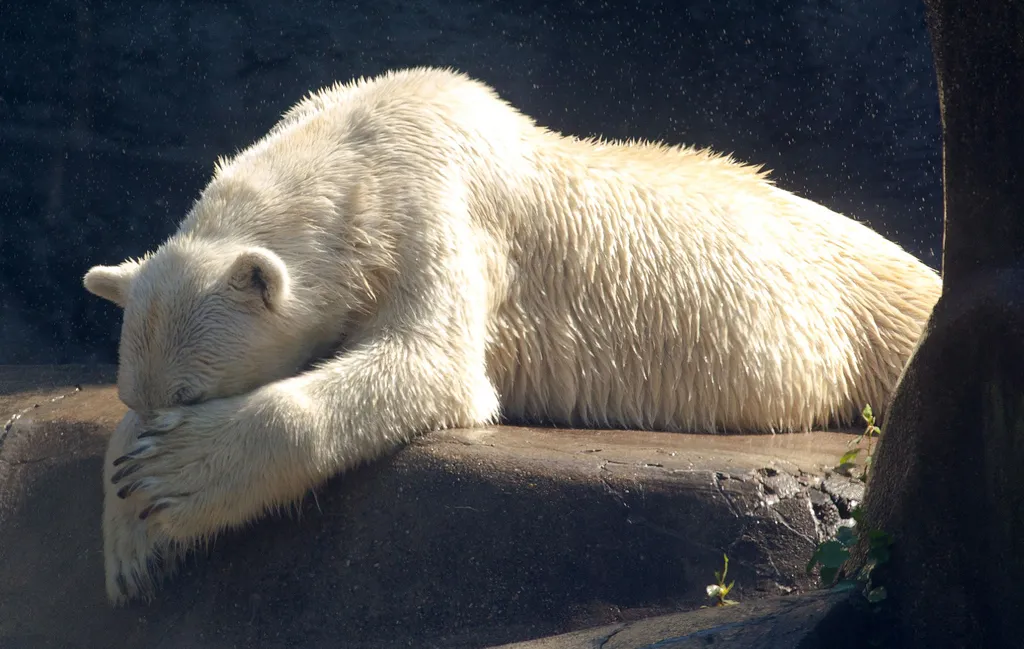 Fotó: Xinhua / Eyevine / Northfoto 