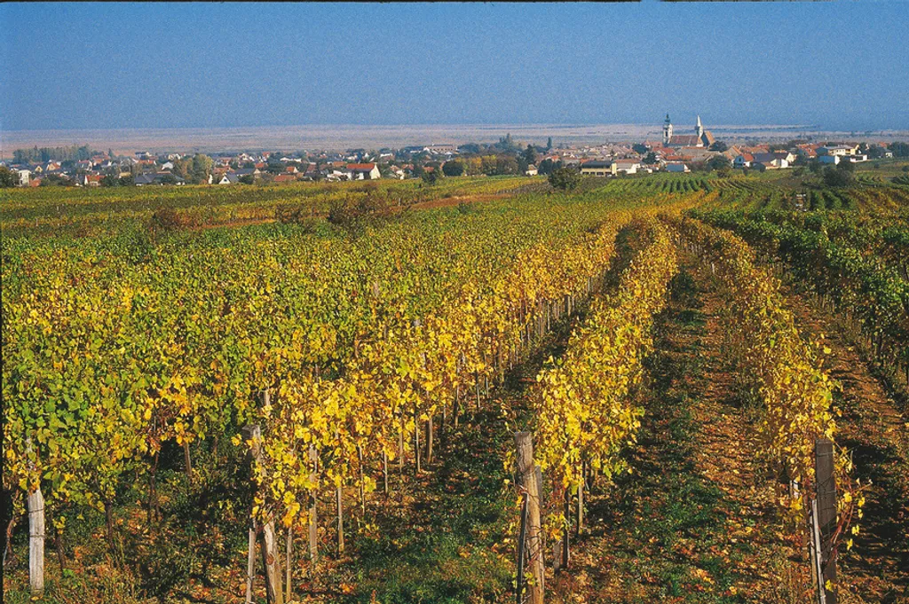Bartl / Österreich Werbung 