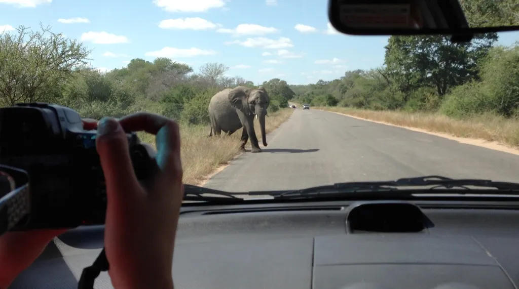 Fotó: Africam / Barcroft Media / Northfoto 
