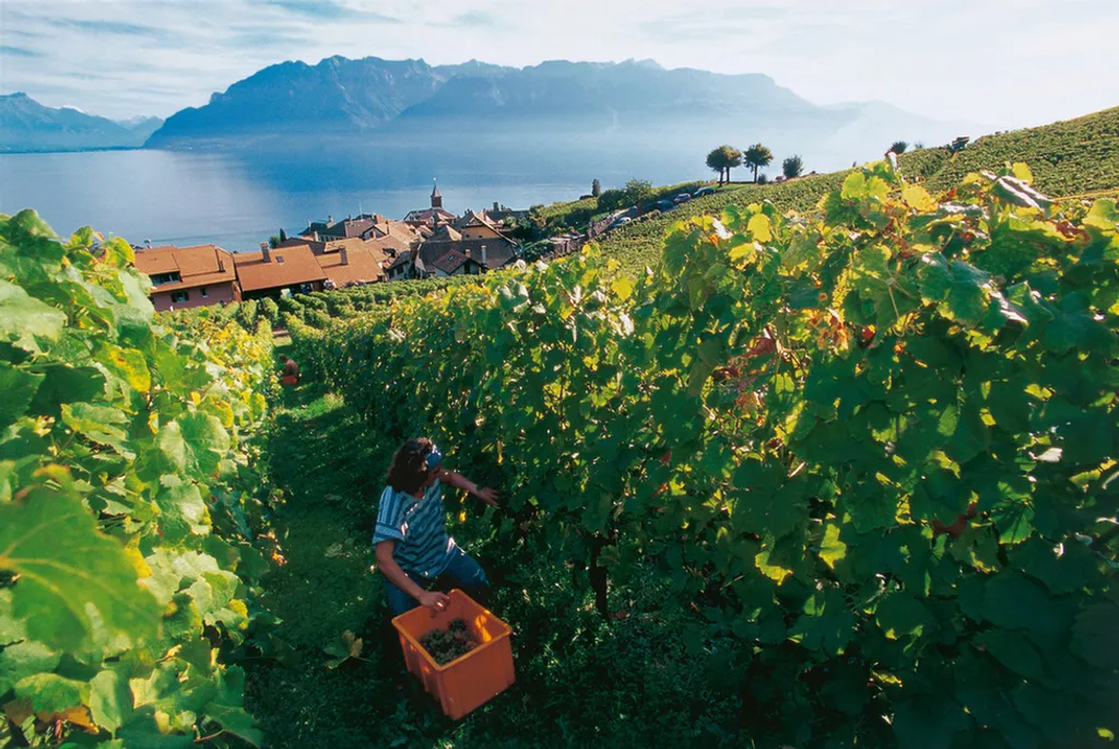 Stephan Engler / Swiss Image 