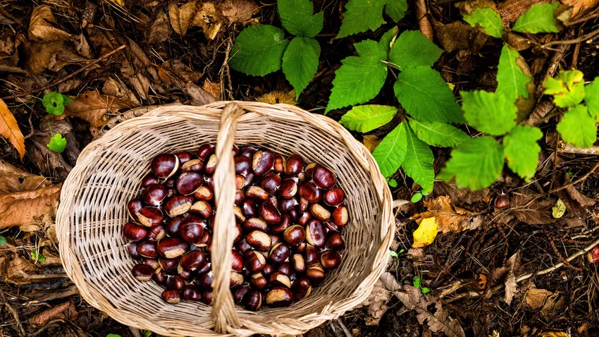 Képekben az elmúlt 24 óra - október 18.