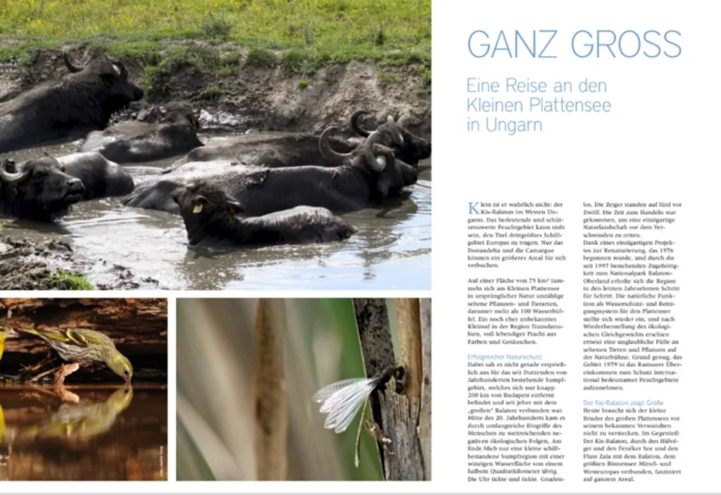 Fotó: Faszination Tier Und Natur 