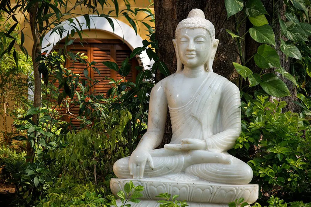 Fotó: Yogagoa.com 